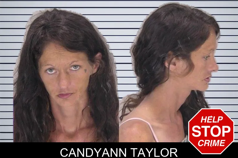 Candyann Taylor mugshot
