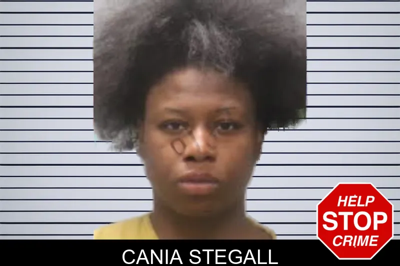 Cania Stegall mugshot