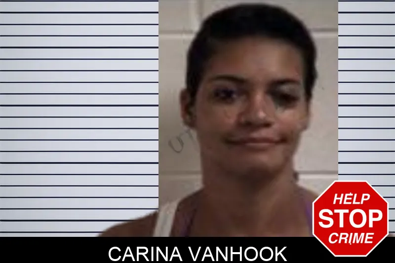 Carina Vanhook mugshot
