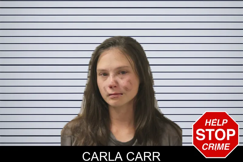 Carla Carr mugshot