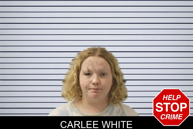 Carlee White mugshot