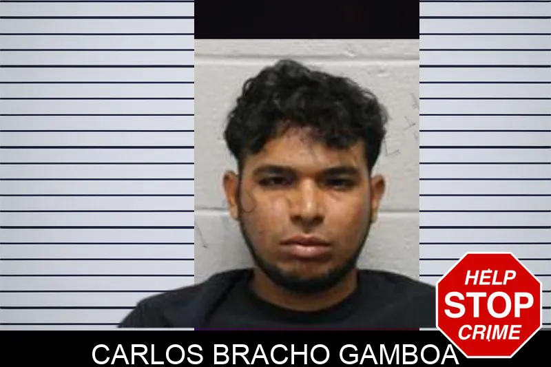 Carlos Bracho Gamboa mugshot