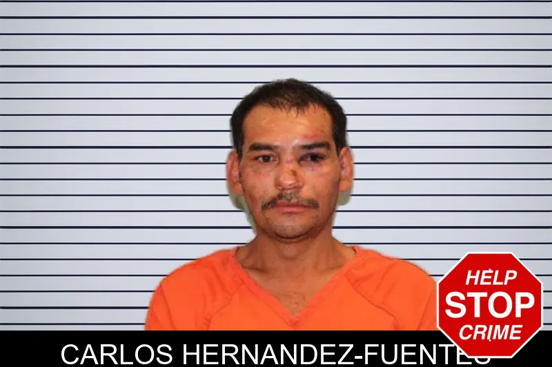 Carlos Hernandez-Fuentes mugshot