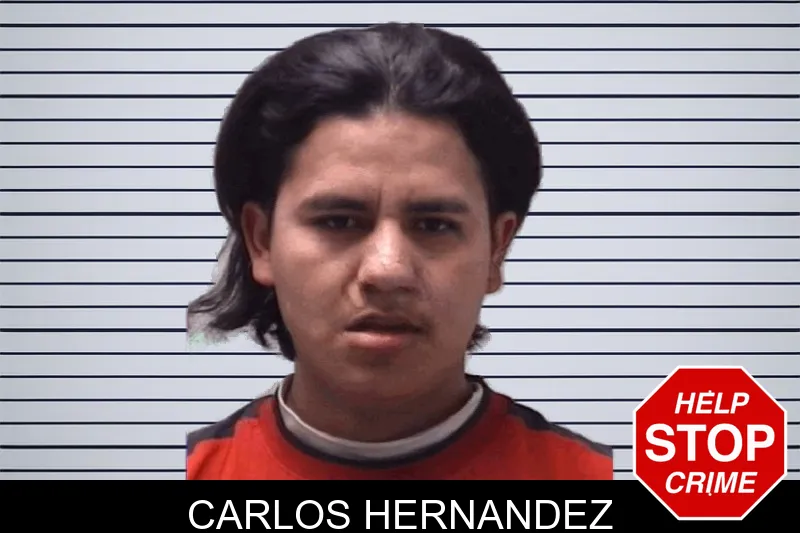 Carlos Hernandez mugshot