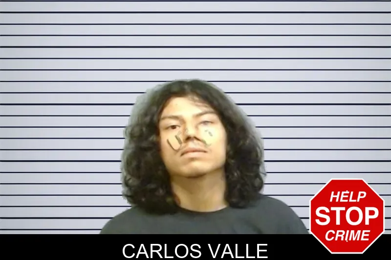 Carlos Valle mugshot