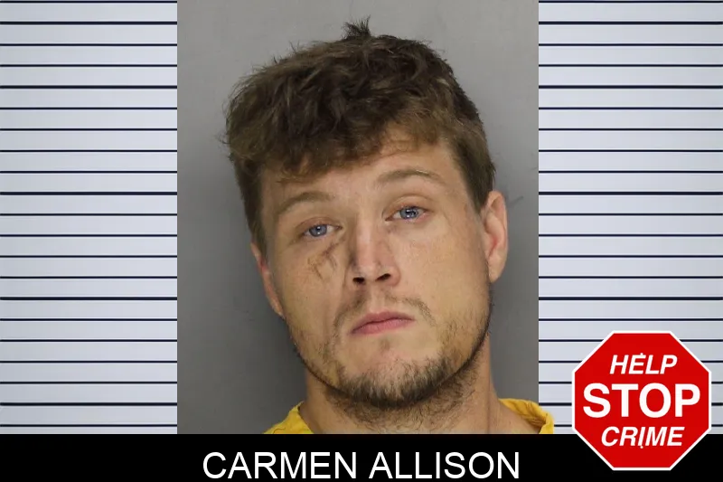 Carmen Allison mugshot