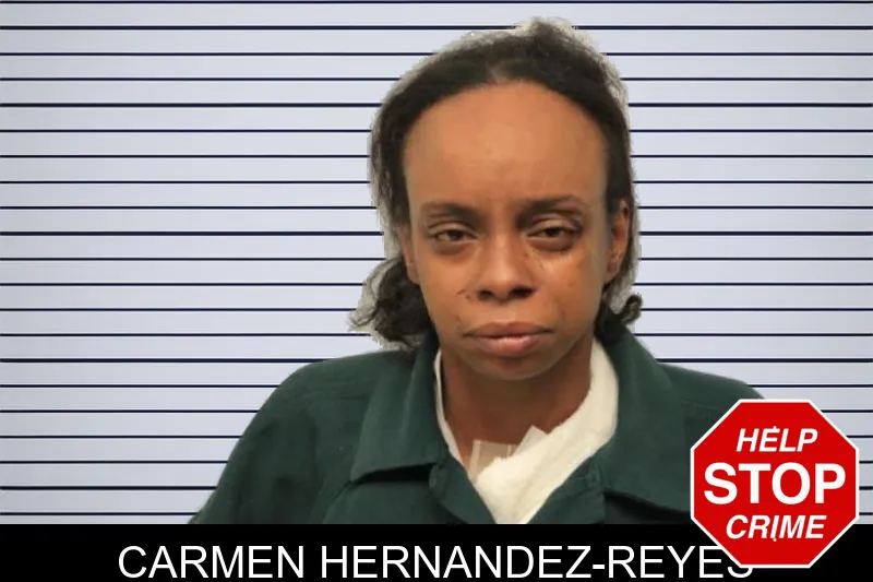 Carmen Hernandez-Reyes mugshot