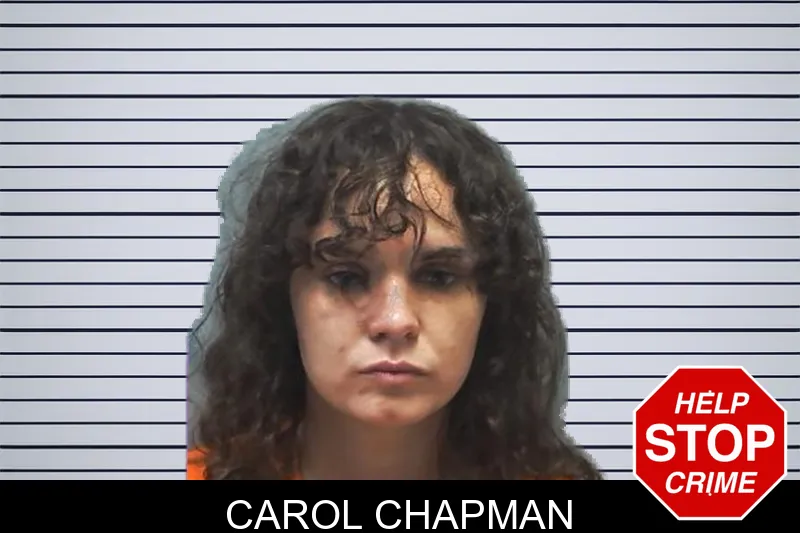 Carol Chapman mugshot