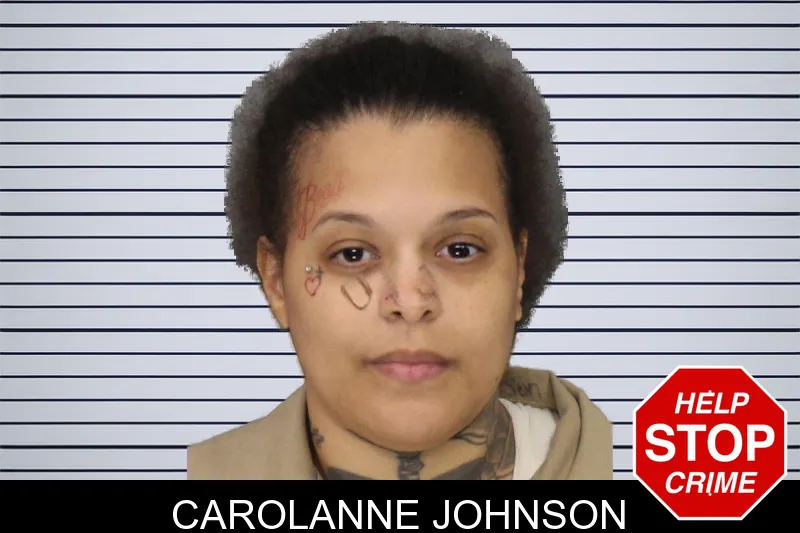 Carolanne Johnson mugshot