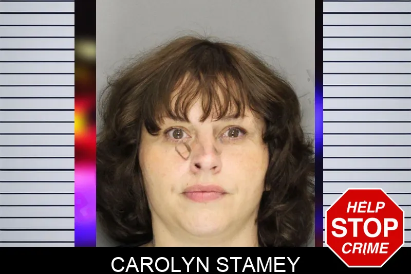 Carolyn Stamey mugshot
