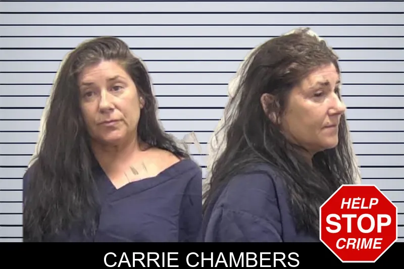 Carrie Chambers mugshot