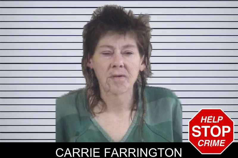 Carrie Farrington mugshot