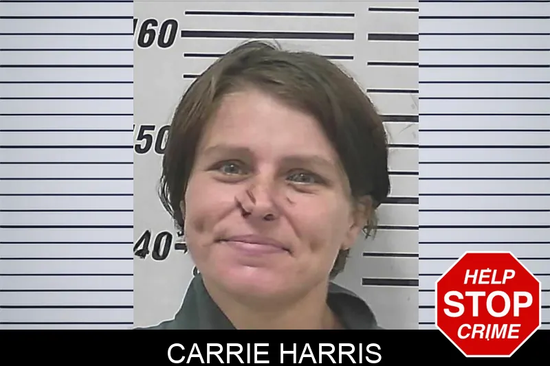Carrie Harris mugshot