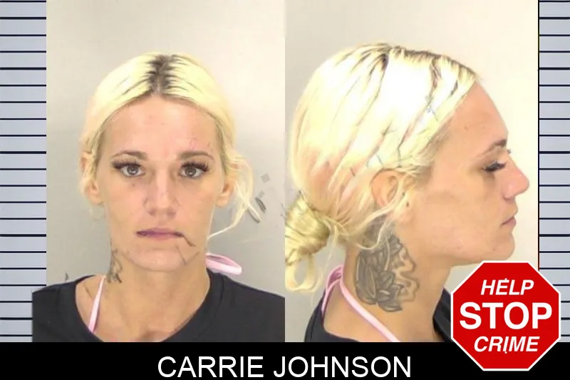 Carrie Johnson mugshot