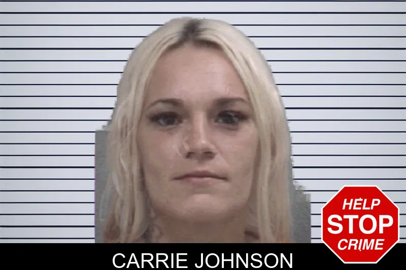 Carrie Johnson mugshot