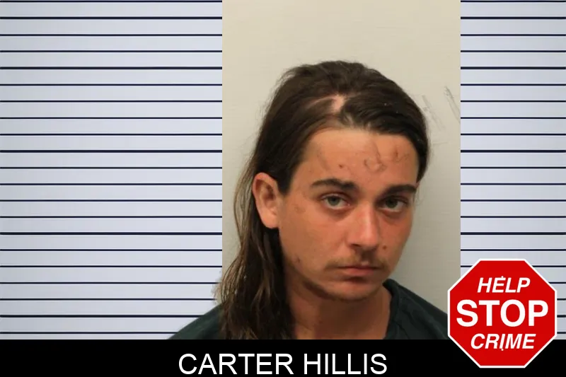 Carter Hillis mugshot