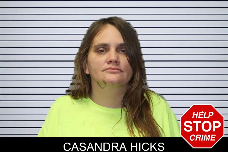 Casandra Hicks mugshot