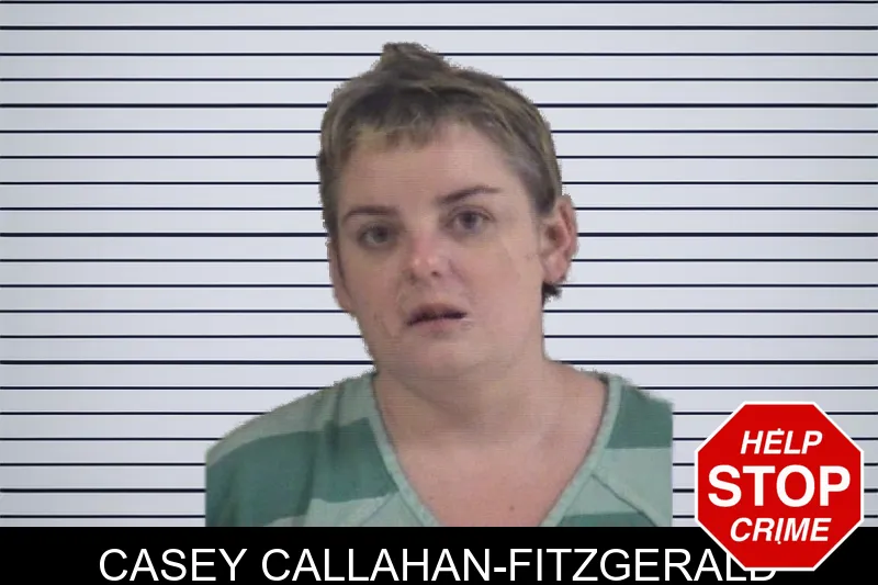 Casey Callahan-Fitzgerald mugshot