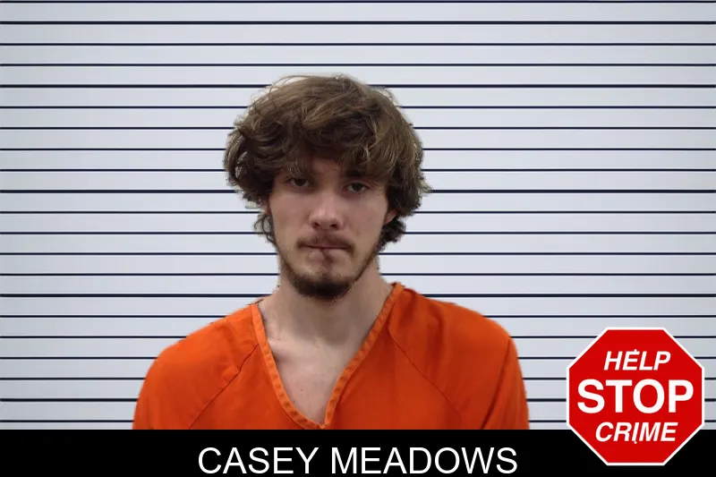 Casey Meadows mugshot