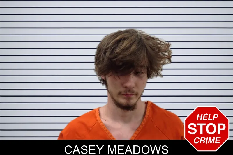Casey Meadows mugshot