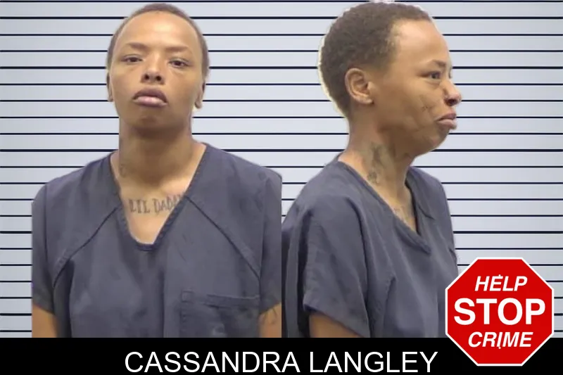 Cassandra Langley mugshot