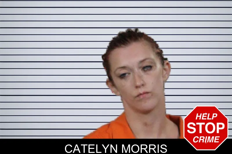 Catelyn Morris mugshot