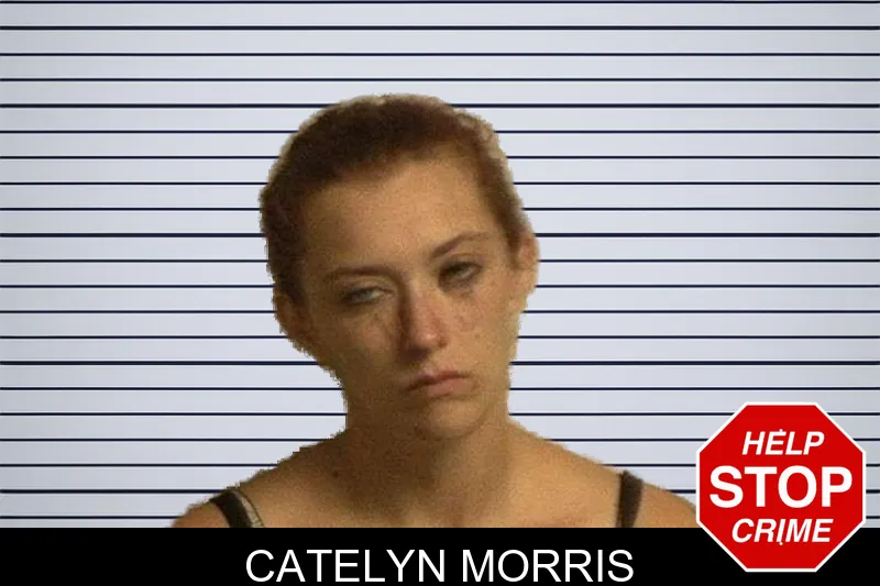Catelyn Morris mugshot