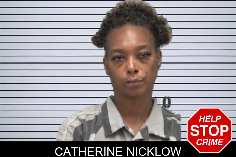 Catherine Nicklow mugshot