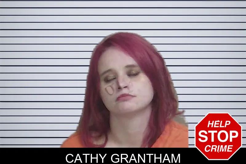 Cathy Grantham mugshot