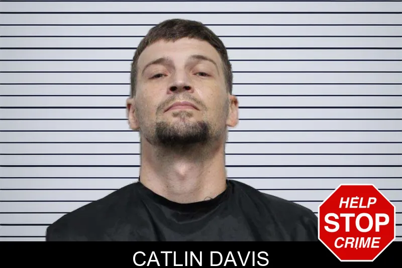 Catlin Davis mugshot