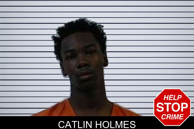 Catlin Holmes mugshot