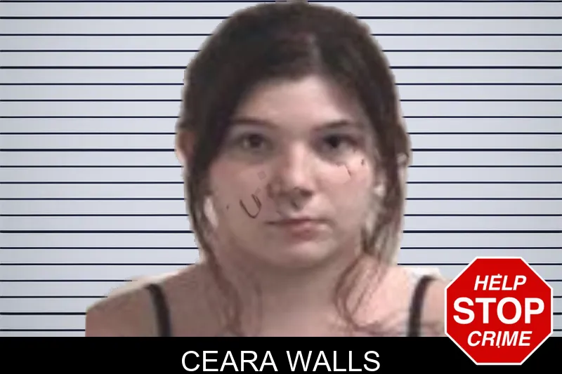 Ceara Walls mugshot