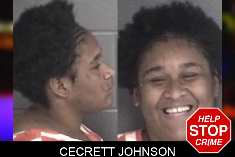 Cecrett Johnson mugshot