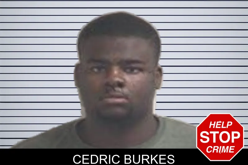Cedric Burkes mugshot