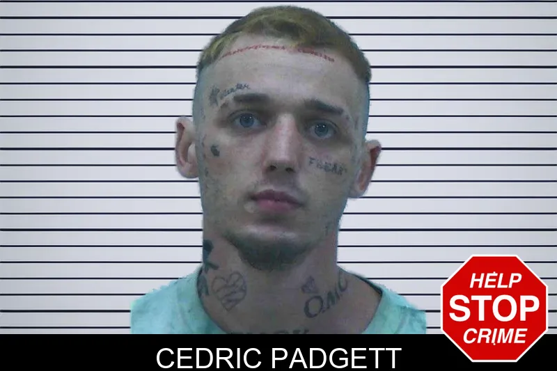 Cedric Padgett mugshot