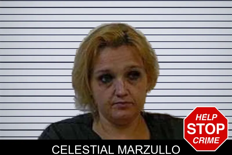 Celestial Marzullo mugshot