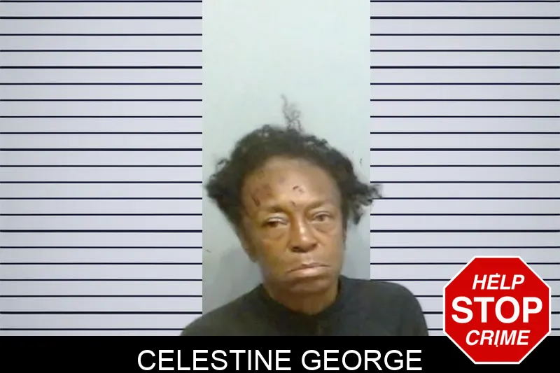 Celestine George mugshot