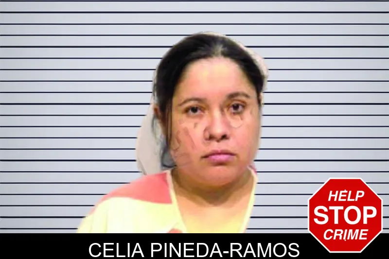 Celia Pineda-Ramos mugshot