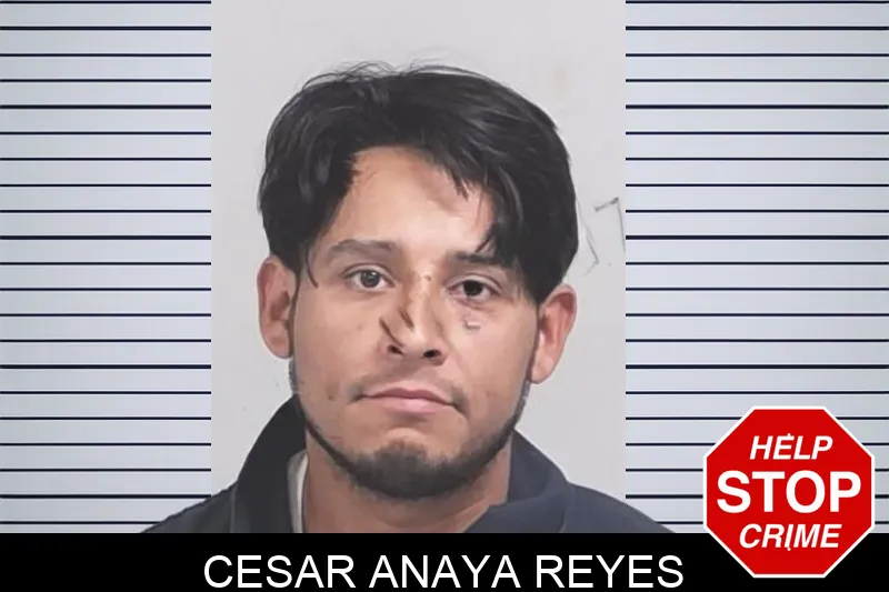 Cesar Anaya Reyes mugshot