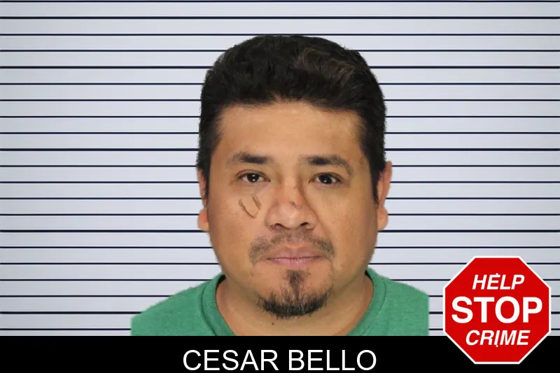 Cesar Bello mugshot
