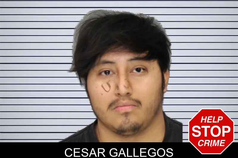 Cesar Gallegos mugshot