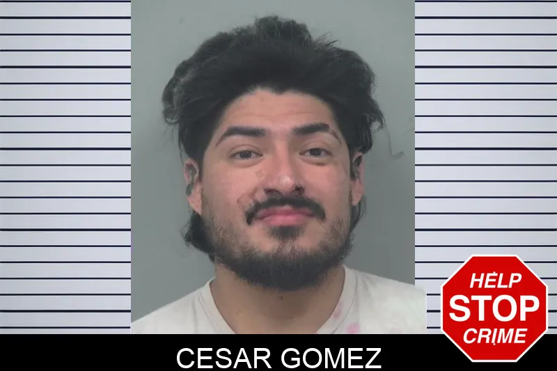 Cesar Gomez mugshot