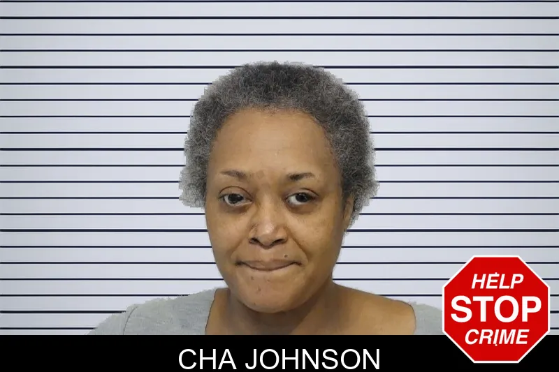 Cha Johnson mugshot