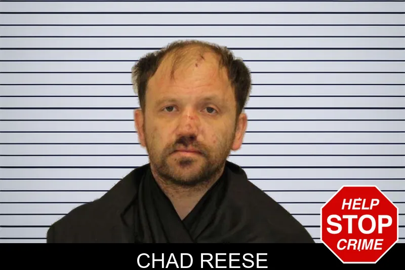 Chad Reese mugshot