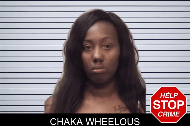 Chaka Wheelous mugshot