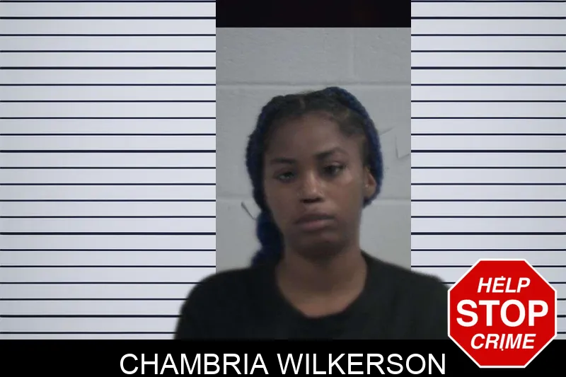 Chambria Wilkerson mugshot