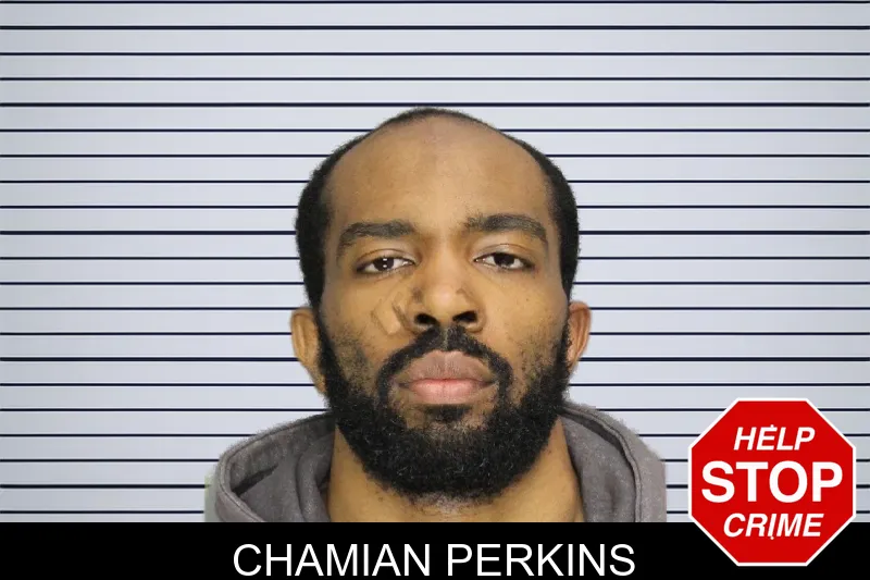 Chamian Perkins mugshot