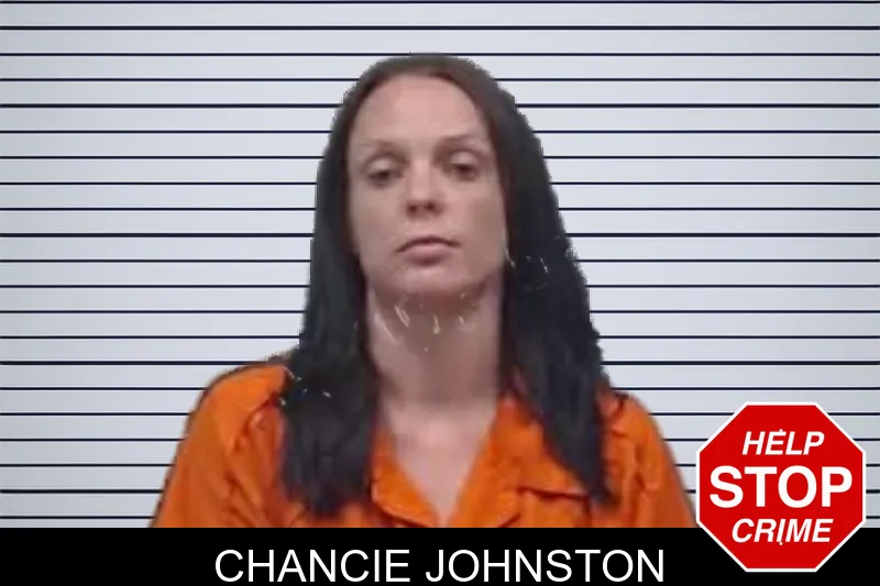Chancie Johnston mugshot
