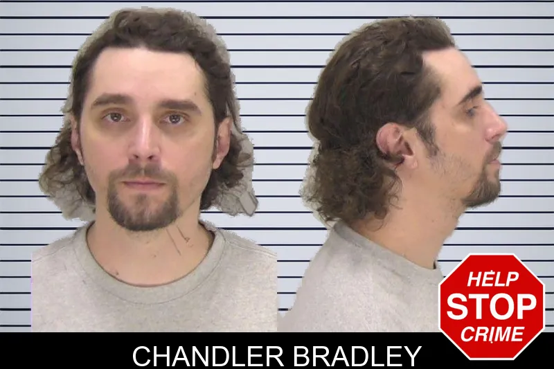 Chandler Bradley mugshot