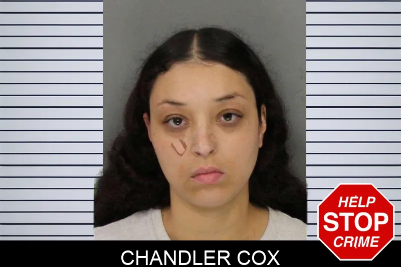Chandler Cox mugshot